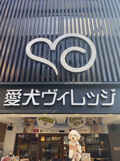 愛犬ヴィレッジ 閉店|れんくんとの生活（番外編③愛犬ビレッジ） ｜もかく